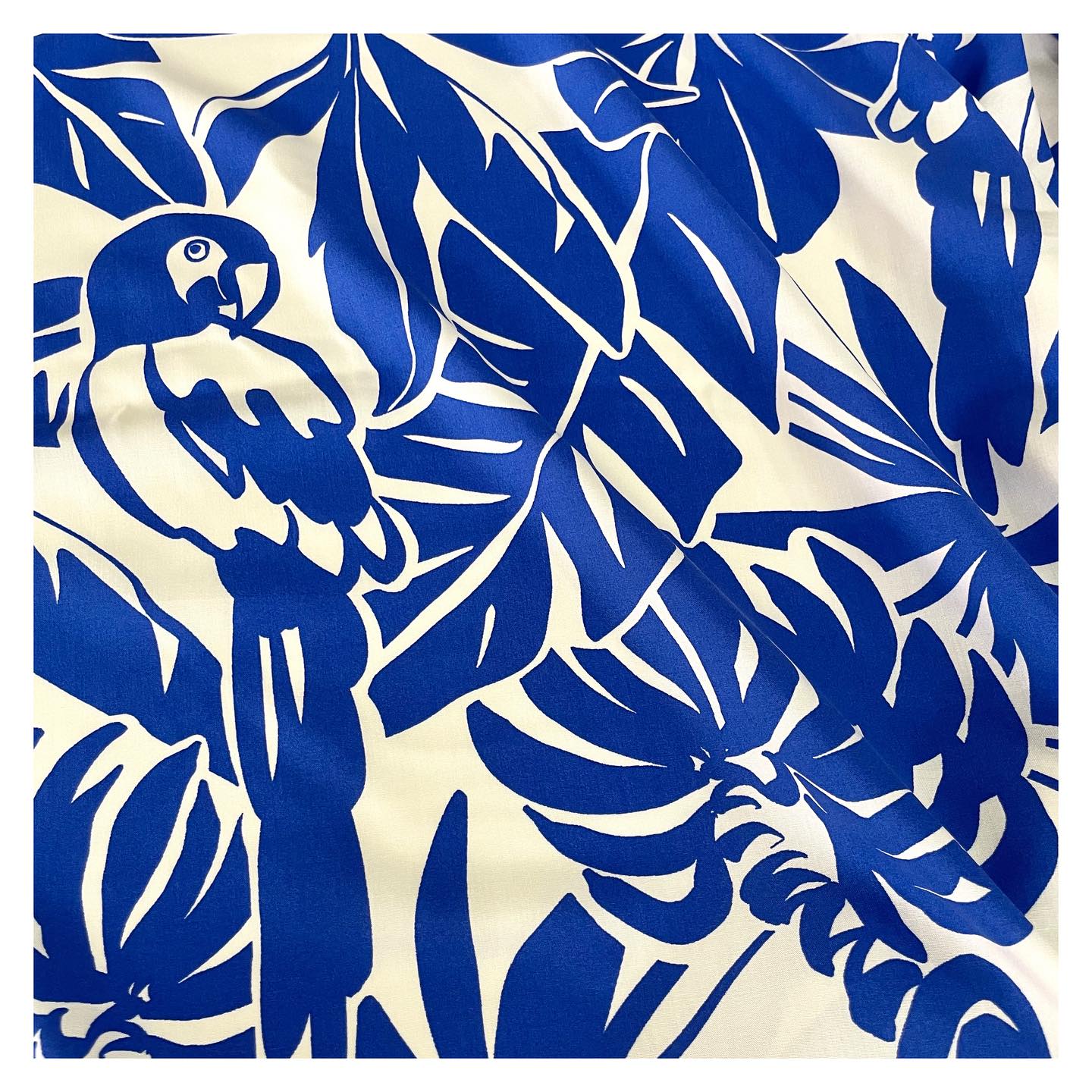 Rayon Fabrics: A Staple for Women's Clothing in Emerging Markets
